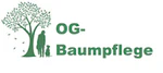 Baumpflege Baumfällarbeiten Wurzelfräsen I Berlin Brandenburg